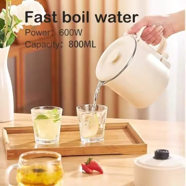 Electric Kettle